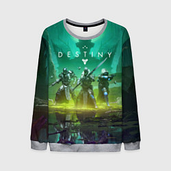 Свитшот мужской DESTINY 2 КОРОЛЕВА ВЕДЬМА САВАТУН, цвет: 3D-меланж