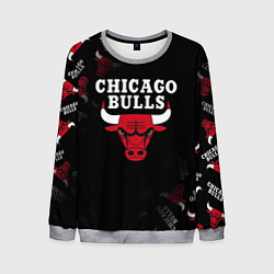 Мужской свитшот ЧИКАГО БУЛЛС БЫКИ CHICAGO BULLS