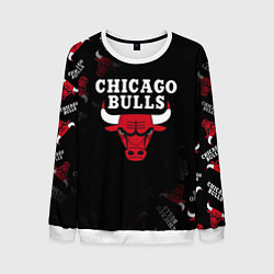 Мужской свитшот ЧИКАГО БУЛЛС БЫКИ CHICAGO BULLS