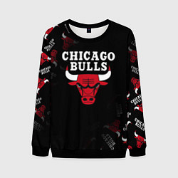 Мужской свитшот ЧИКАГО БУЛЛС БЫКИ CHICAGO BULLS