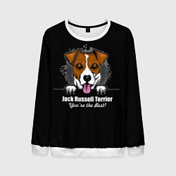 Свитшот мужской Джек-Рассел-Терьер Jack Russell Terrier, цвет: 3D-белый
