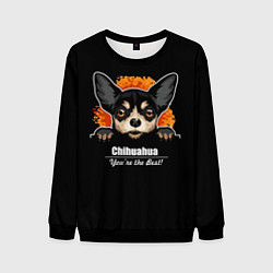 Мужской свитшот Чихуахуа Chihuahua