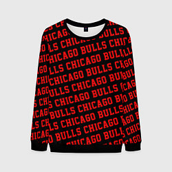 Мужской свитшот Чикаго Буллз, Chicago Bulls