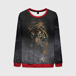 Свитшот мужской Тигр в тумане, цвет: 3D-красный