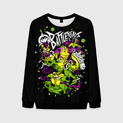 Свитшот мужской Battletoads - Боевые Жабы, цвет: 3D-черный