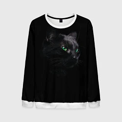 Мужской свитшот Черна кошка с изумрудными глазами