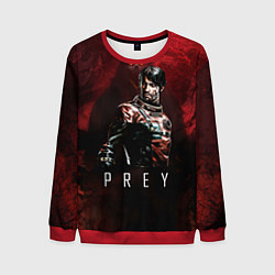 Мужской свитшот Prey Dark red