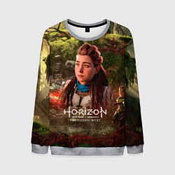 Мужской свитшот Horizon Forbidden West Aloy