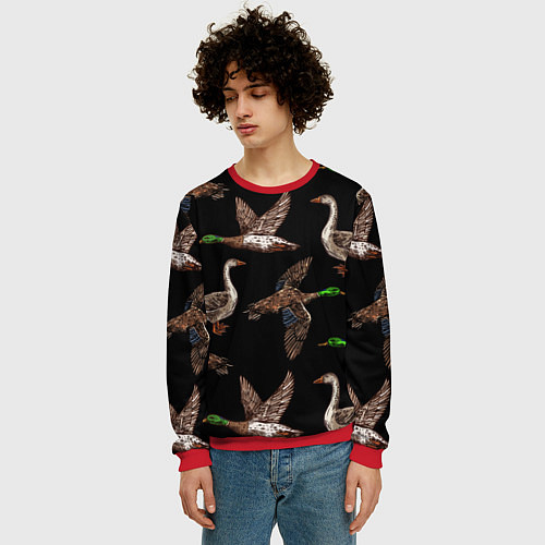 Мужской свитшот Утки паттерн / 3D-Красный – фото 3