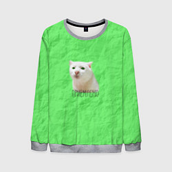 Свитшот мужской Приемлемо кот мем, цвет: 3D-меланж