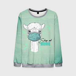 Мужской свитшот Лама в маске