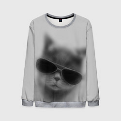 Свитшот мужской Крутой кот в очках в тумане, цвет: 3D-меланж