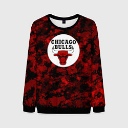 Мужской свитшот CHICAGO BULLS ЧИКАГО БУЛЛС NBA