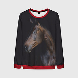 Свитшот мужской Лошадь Благородство, цвет: 3D-красный