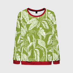 Свитшот мужской Зелёные Тропики Лета, цвет: 3D-красный