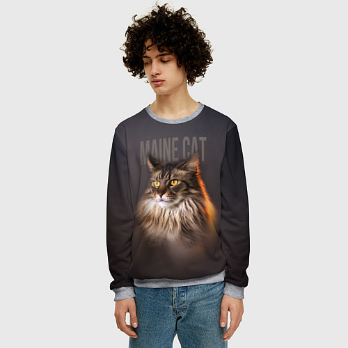 Мужской свитшот Maine cat / 3D-Меланж – фото 3