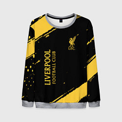 Свитшот мужской Liverpool fc ливерпуль фс, цвет: 3D-меланж