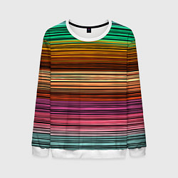 Мужской свитшот Multicolored thin stripes Разноцветные полосы