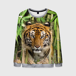 Свитшот мужской Матёрый тигр в зарослях бамбука, цвет: 3D-меланж