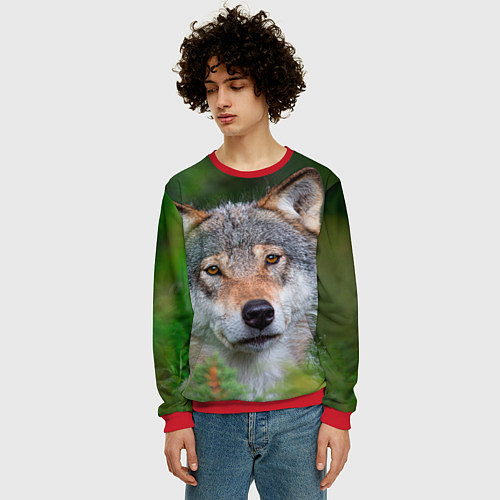 Мужской свитшот Волк на фоне зелени / 3D-Красный – фото 3