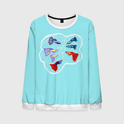 Свитшот мужской Маленькие цветные аквариумные рыбки, цвет: 3D-белый