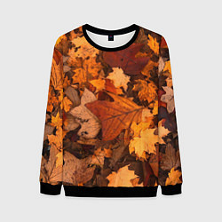 Свитшот мужской Опавшие листья, цвет: 3D-черный
