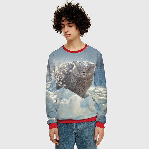 Мужской свитшот Кот встречает Новый Год! / 3D-Красный – фото 3