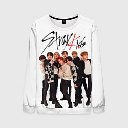 Свитшот мужской Stray Kids white background, цвет: 3D-белый