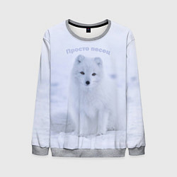 Мужской свитшот Просто песец на снегу
