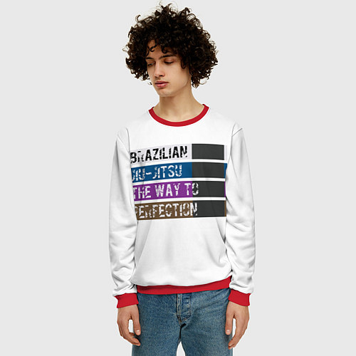 Мужской свитшот Jiu Jitsu Rank / 3D-Красный – фото 3