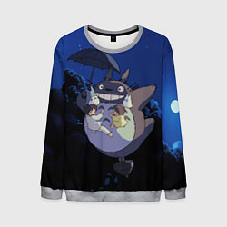 Мужской свитшот Night flight Totoro