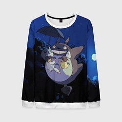 Мужской свитшот Night flight Totoro