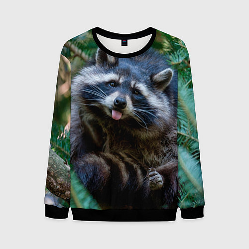 Мужской свитшот Енот с языком / 3D-Черный – фото 1
