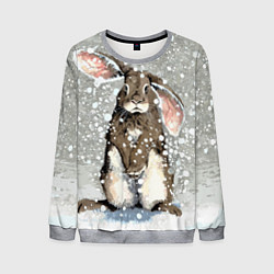 Свитшот мужской Кролик Снежок Милый, цвет: 3D-меланж