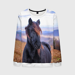 Свитшот мужской Черный конь, цвет: 3D-белый