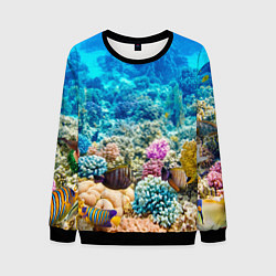 Свитшот мужской Дно морское, цвет: 3D-черный