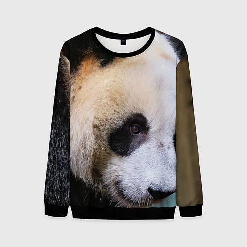 Мужской свитшот Загадочная панда / 3D-Черный – фото 1
