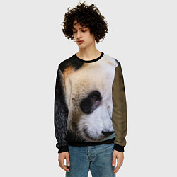 Свитшот мужской Загадочная панда, цвет: 3D-черный — фото 2