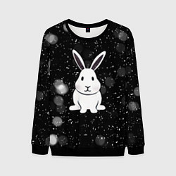 Свитшот мужской Год кролика 2023, цвет: 3D-черный