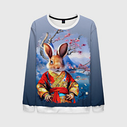 Мужской свитшот Кролик в китайском халате