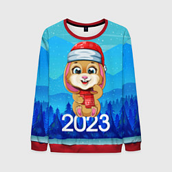 Свитшот мужской Зайчик Новый год 2023, цвет: 3D-красный