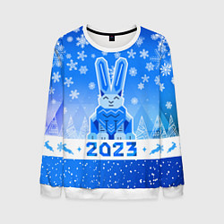 Свитшот мужской Геометрический кролик 2023, цвет: 3D-белый