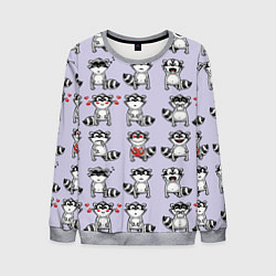 Мужской свитшот Забавные еноты