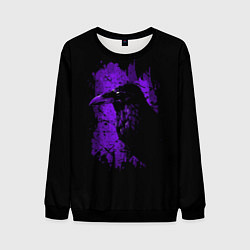 Мужской свитшот Dark purple raven