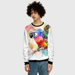 Свитшот мужской Разноцветный акварельный попугай, цвет: 3D-черный — фото 2