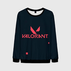 Мужской свитшот Valorant игрок