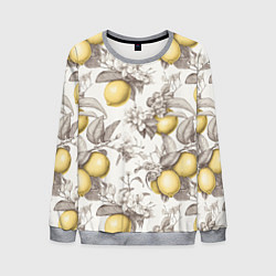 Свитшот мужской Лимоны - винтаж графика: паттерн, цвет: 3D-меланж