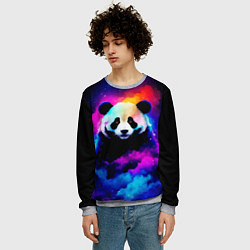 Свитшот мужской Панда и краски, цвет: 3D-меланж — фото 2
