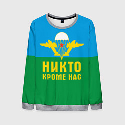 Свитшот мужской Никто кроме нас - ВДВ, цвет: 3D-меланж