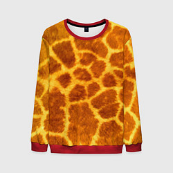Свитшот мужской Шкура жирафа - текстура, цвет: 3D-красный